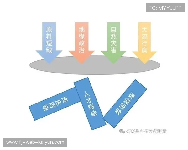 体育供应链平台推出协同预测服务，降低牛鞭效应影响